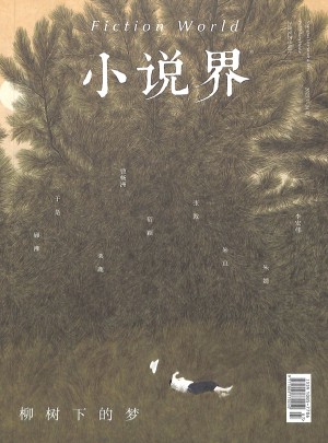 小说界杂志订阅